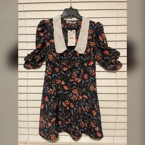 NWT Zara Peter Pan collar floral dress